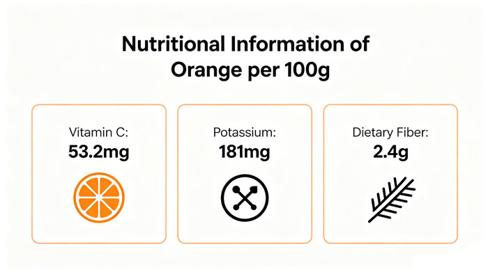 infographic showing key nutrients in 100g of orange flesh for dogs