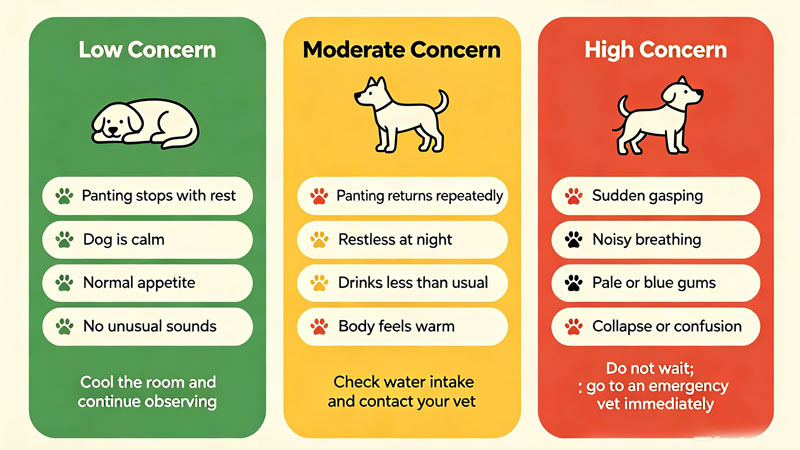 dog panting at night decision tree red yellow green zones